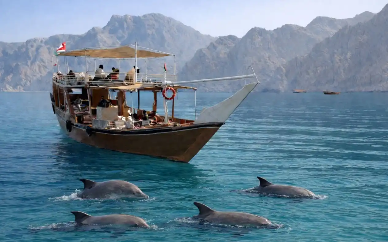 Khasab dolphin tour