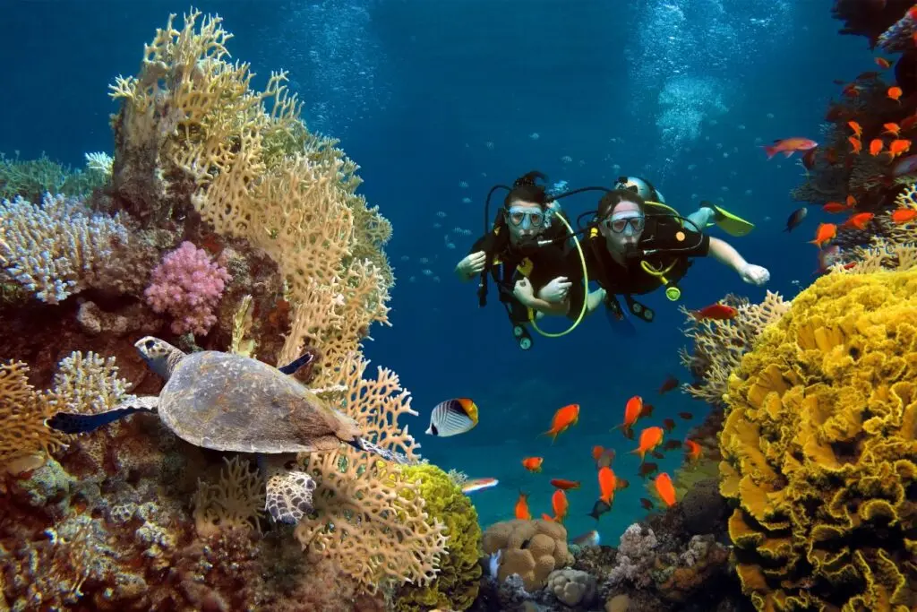 Khasab scuba diving