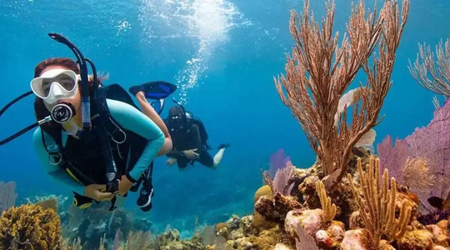 Musandam Diving